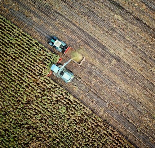 Agri-food-data-ai-4