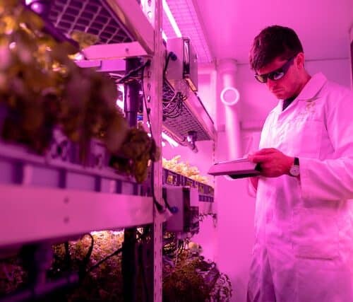 Agri-food-data-ai-2