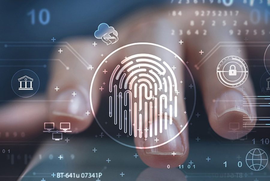 AI Impact Assessment